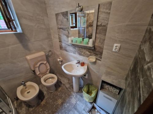 een kleine badkamer met een toilet en een wastafel bij Apartment in Icici with sea view, terrace, Wi-Fi (4870-3) in Ičići