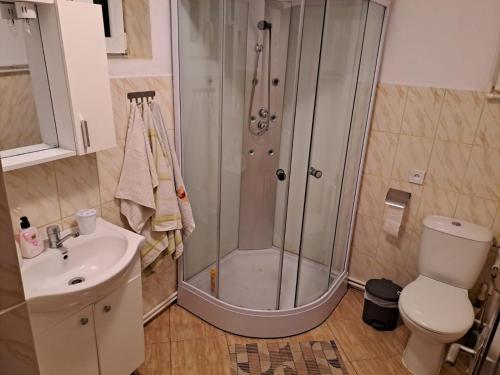 Un baño con ducha, inodoro y lavabo. en Casa Argentina, en Cârţişoara