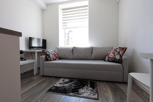sala de estar con sofá y ventana en Mini dzīvoklis-atbilstoša cena, en Riga