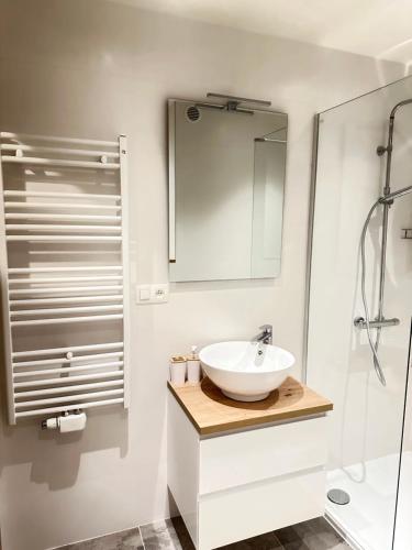 Koupelna v ubytování Gezellig modern kust appartement