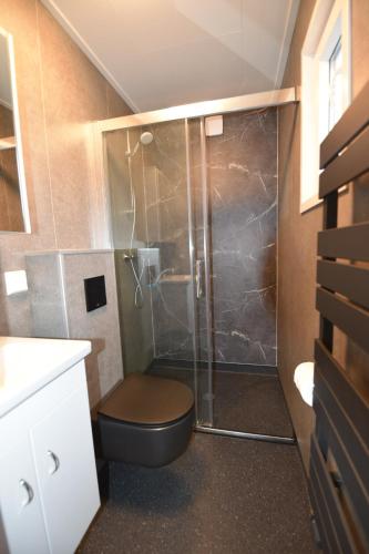 La salle de bains est pourvue de toilettes et d'une douche en verre. dans l'établissement Chalet Helmgras J4, à Buren