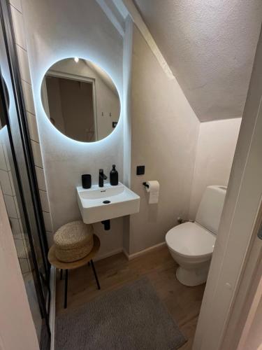 ein Badezimmer mit einem Waschbecken, einem WC und einem Spiegel in der Unterkunft Garden House Apartments in Cēsis