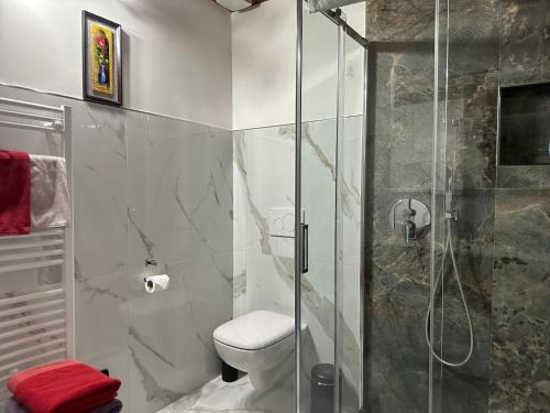 a bathroom with a toilet and a glass shower at B&B SouthItaly in Busto Arsizio