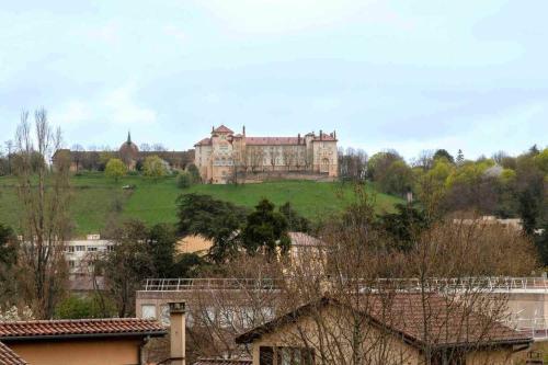 a large castle on top of a hill with trees at Appartement jacuzzi hammam in Francheville