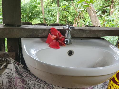 Imaio home stay في Ipenyen: وجود مغسلة حمام عليها وردة حمراء