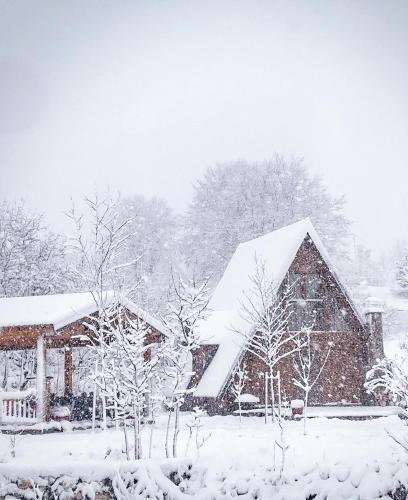 Fotografie z fotogalerie ubytování Albero Casa v destinaci Cetinje