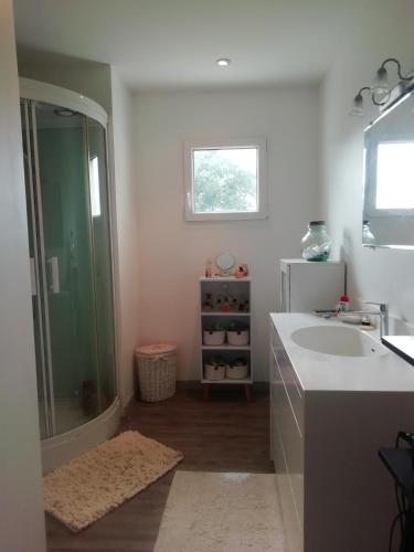 une salle de bain avec un lavabo et une douche dans l'établissement Ancienne ferme restaurée, à Virazeil