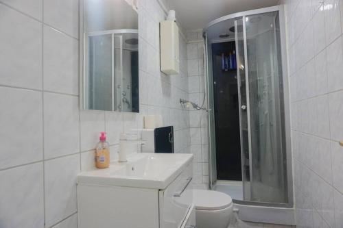 La salle de bains est pourvue de toilettes, d'un lavabo et d'une douche. dans l'établissement Apartment with balkon, à Wuppertal