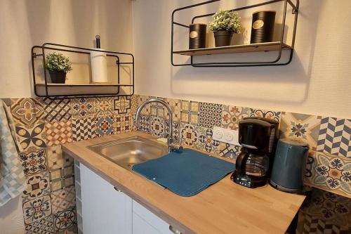 - un comptoir de cuisine avec évier et cafetière dans l'établissement 