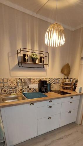 d'un comptoir de cuisine avec un évier et un éclairage. dans l'établissement 