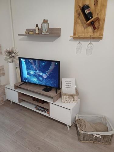 Apartment Green Free private parkingにあるテレビまたはエンターテインメントセンター