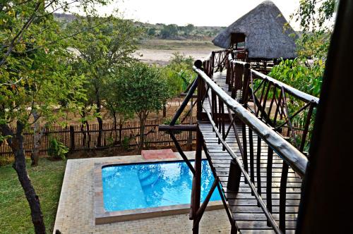 a swimming pool on a staircase next to a house at Bona Ngwenya Lodge & Safaris in Marloth Park