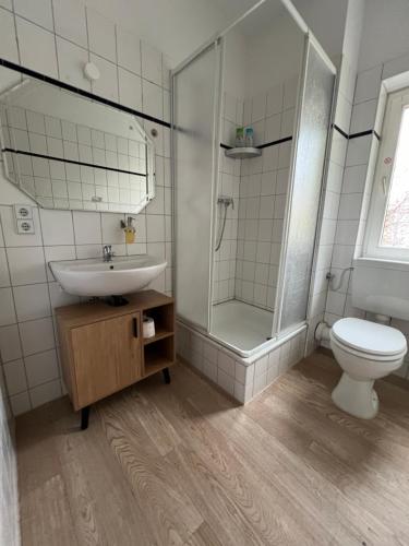 ein Bad mit einem WC, einem Waschbecken und einer Dusche in der Unterkunft Sweet Home Inside Dresden Rooms in Dresden