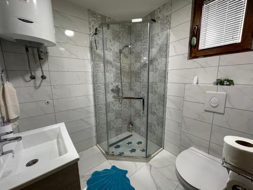 a bathroom with a shower and a toilet and a sink at Snjezna kuca Rakovac in Pale