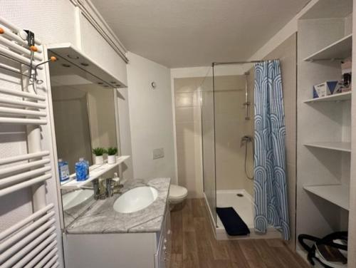 une salle de bain avec un lavabo et une douche en verre dans l'établissement Beau F3 - Proche Gare, à Mulhouse
