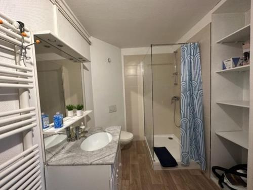 een badkamer met een wastafel en een glazen douche bij Beau F3 - Proche Gare in Mulhouse