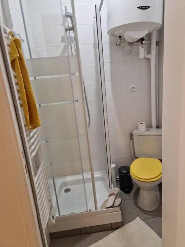 La salle de bains est pourvue d'une douche et de toilettes jaunes. dans l'établissement Appartement, à Saint-Denis