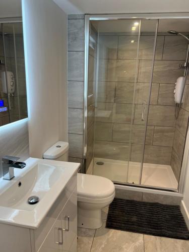a bathroom with a shower and a toilet and a sink at Newly Renovated Apartment in Bicester