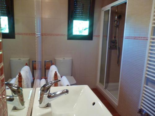 y baño con lavabo y ducha. en Hotel rural Los Manzanos, en Rascafría