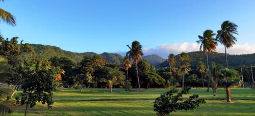 Paisaje cerca de este apartamento