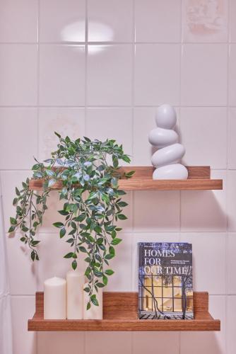 a bathroom shelf with a plant and a book at Michele die Studentenecke in Kaiserslautern
