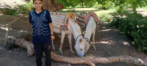 a young boy is standing next to a donkey at Gite Timit la maison Imazghn in Azilal