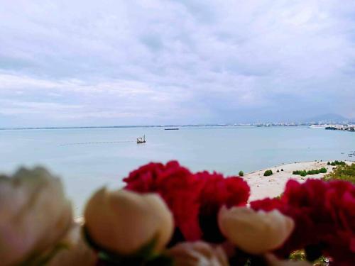 a group of red and white flowers in front of the water at [NEW LAUNCH] SUNRISE GURNEY SEAVIEW'63 无敌日出海景63 in George Town
