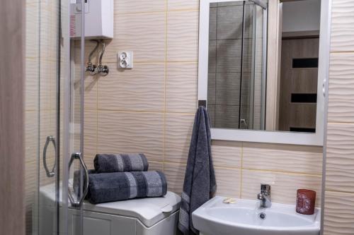 a bathroom with a sink and a toilet and a mirror at CityOasis Apartment in Nowe Miasto Lubawskie