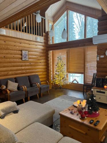 a living room with a couch and a christmas tree at Holiday Home Amero purnu 3 in Kolinkylä