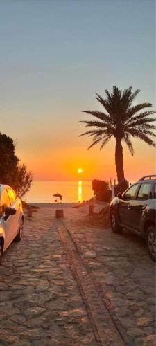 twee auto's geparkeerd op een strand met een palmboom bij Dans résidence à bord de la mer avec plage privée in Chott Meriem