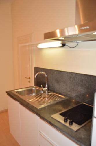 kuchnia ze zlewem i blatem w obiekcie Mimì Apartment w Lukce