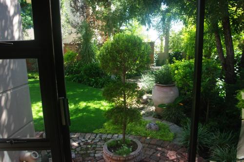 a window view of a garden with trees and plants at Primavera Guest House in Bloemfontein