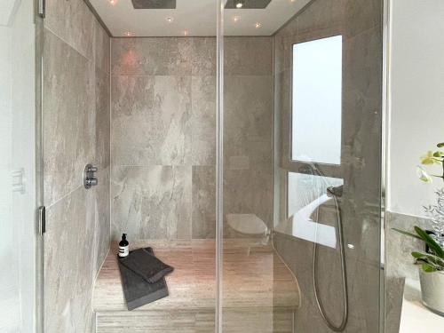 a bathroom with a shower with a glass door at Apartment Wendtorf XIX in Wendtorf