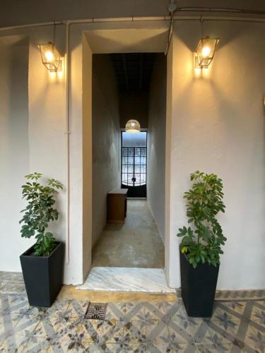 CasaVieja – Photos 2