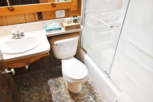 a bathroom with a toilet and a sink and a shower at The Historic Lutsen Lodge in Lutsen