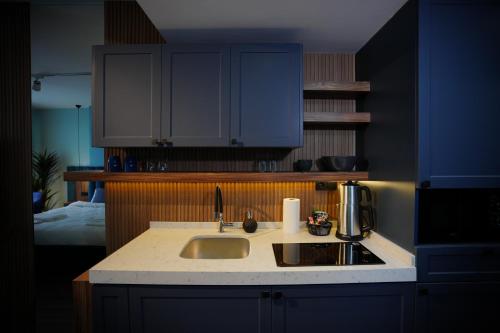 a kitchen with a sink and blue cabinets at Vanilla 11 in Istanbul