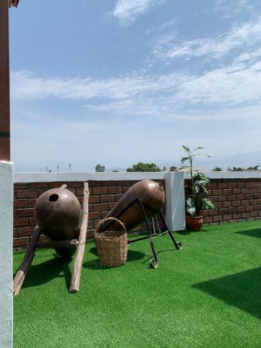 The Tourist House في إِكا: حديقة بها كرسيين وسلة على العشب