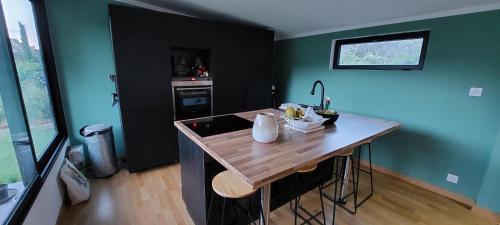een keuken met een houten aanrecht en groene muren bij Cocon tout confort au coeur de la nature in Carnoules