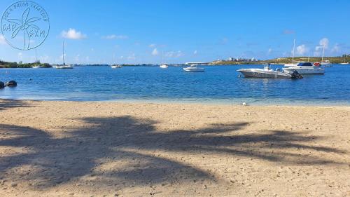 a shadow of a palm tree on the beach at Vue époustouflante sur le lagon pour 4p in Baie Nettle