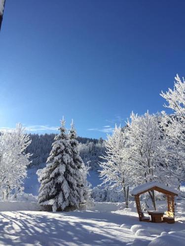 a snow covered forest with a bench and a tree at Apartman - Sobe Tiha Luka, Bjelašnica in Bjelašnica