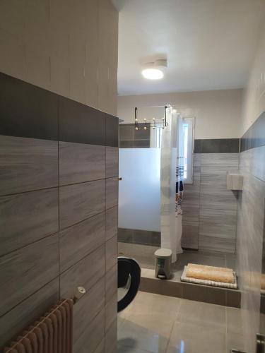 une salle de bain avec douche et toilettes dans l'établissement T4 Saint-Cyprien, à Saint-Cyprien