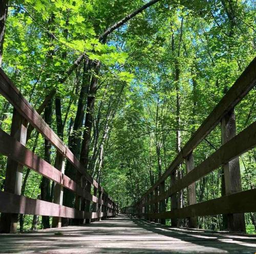 a wooden bridge in the middle of a forest at Loft in Louiseville