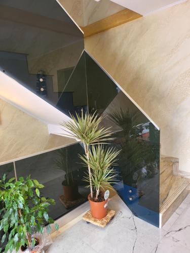 Φωτογραφία από το άλμπουμ του Soimii Bucovinei Residence σε Vatra Moldovitei