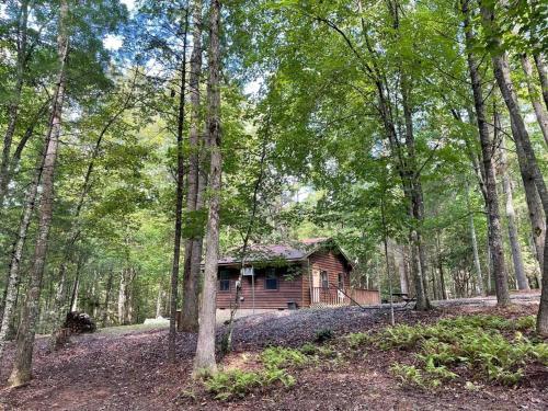 a log cabin in the middle of the woods at Private cozy cabin in the woods with great view in Murphy
