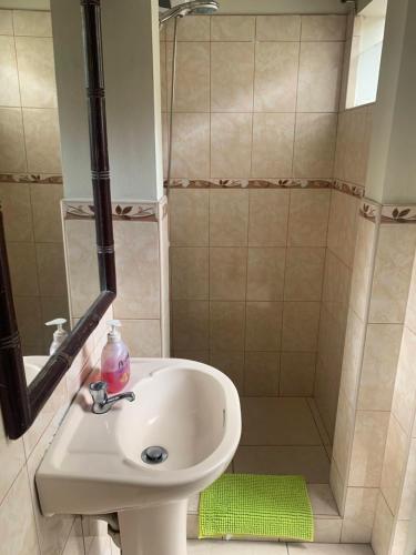 a bathroom with a sink and a shower at Peruvian House - Miraflores in Lima