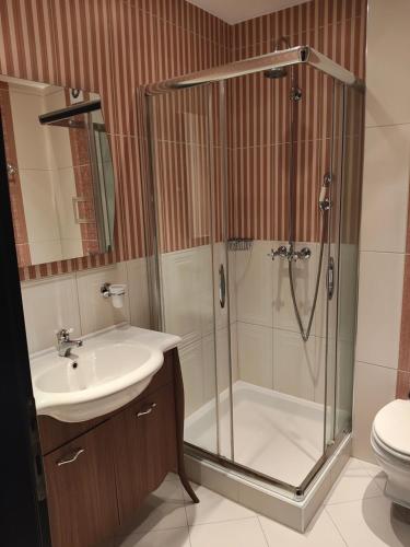 bagno con doccia e lavandino di Quiet 1BDRM with FREE and secured Garage in Iztok a Sofia