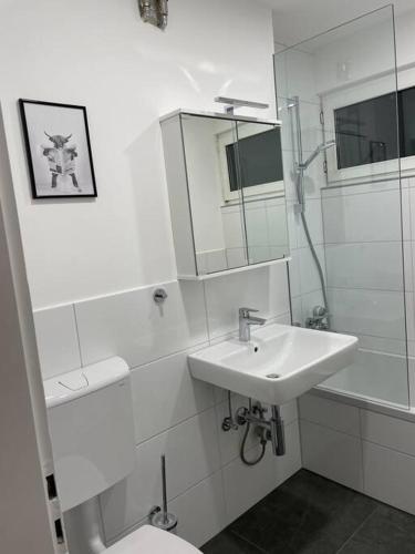 a white bathroom with a sink and a toilet at Penthouse, Offenburg,Europapark in Offenburg