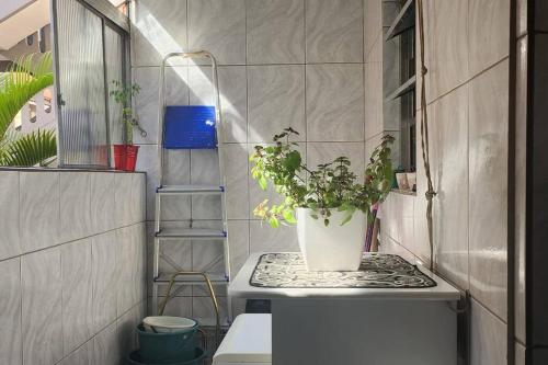 塔博昂達塞拉的住宿－Sinta-se em Casa Longe de Casa，植物坐在柜台上的浴室
