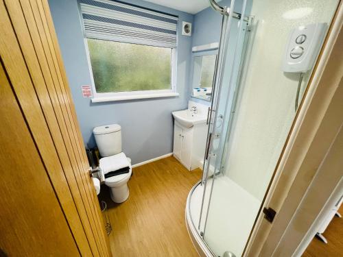a bathroom with a toilet and a glass shower at 2 Bedroom Chalet SB57, Sandown, Isle of Wight in Brading