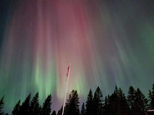 an image of the northern lights in the sky at Ønskedrømmen hytteutleie in Brandbu